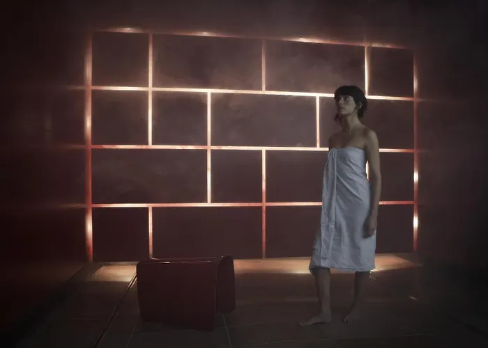 伯尔尼韦斯特赛德假日酒店 4* 伯尔尼