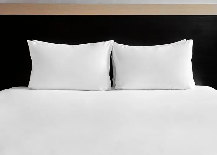 伯尔尼韦斯特赛德假日酒店 酒店 伯尔尼